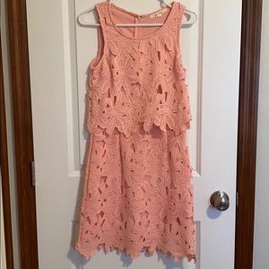 Miami brand pink appliqué dress